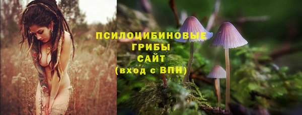 амфетамин Заводоуковск