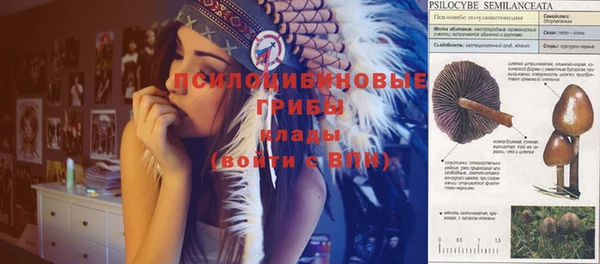 амфетамин Заводоуковск
