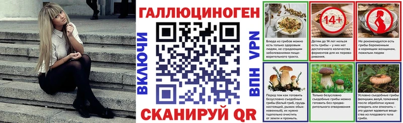 где купить наркоту  Снежинск  Псилоцибиновые грибы Magic Shrooms 